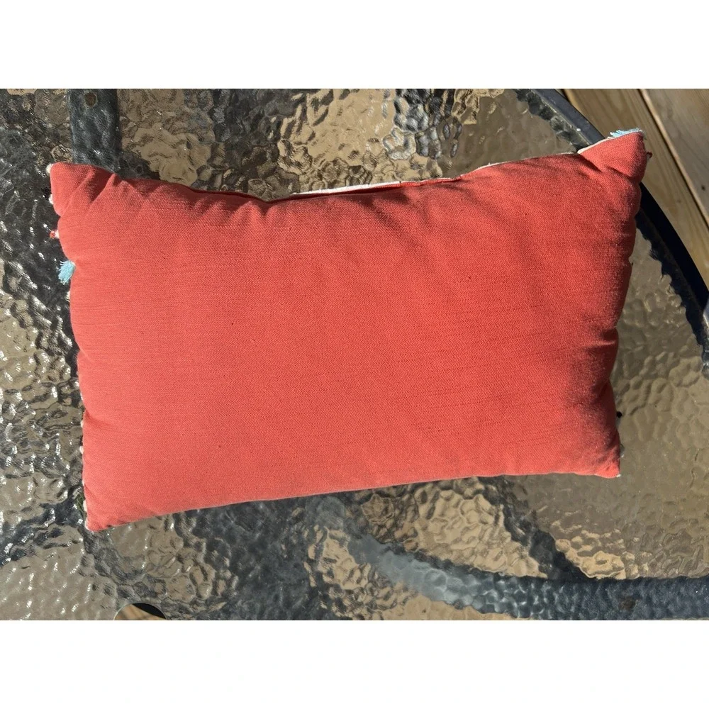 Decorative Throw Pillow Zebra Stripe Safari Design Colorful Fringe